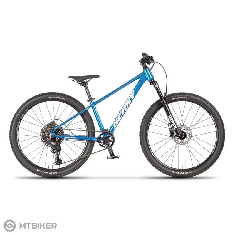 Transport gratuit Bicicletă copii Beany Blaster 24, albastru