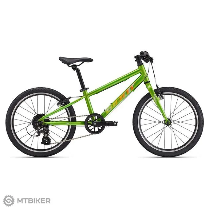 Ofertă exclusivă Bicicletă copii Giant ARX 20, metallic green