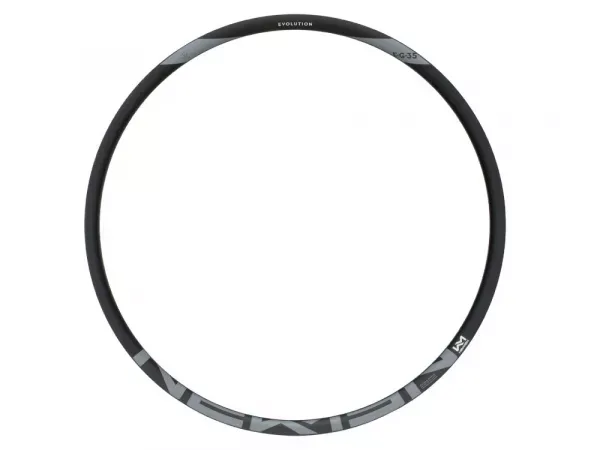 Cumpărături sigure JANTA NEWMEN EVOLUTION E.G.35 BLACK/GREY 2023 29INCH 28H
