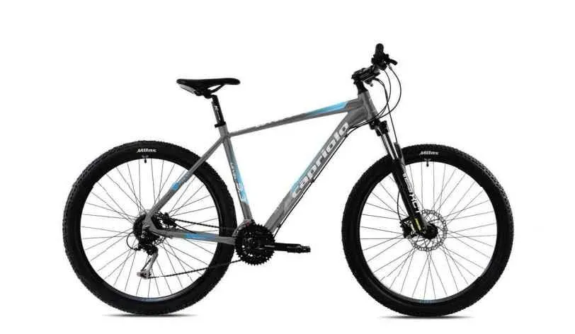 Doar azi Bicicleta MTB 29 Capriolo Level 9.3 gri albastru 19