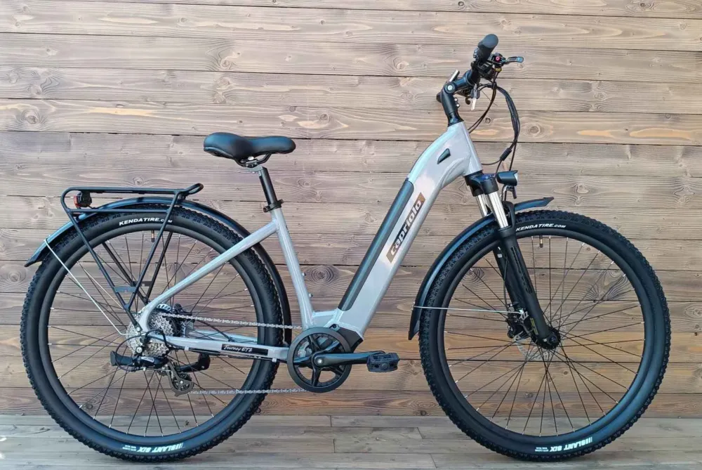 Bicicleta electrica e-bike Capriolo Journey 28 motor 250W, 36V 13Ah gri inchis Cumpărături sigure