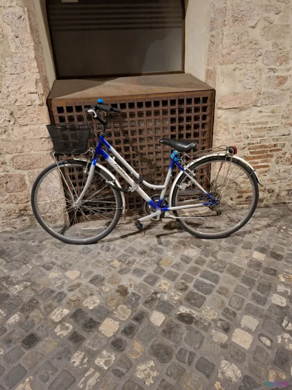 Reducere specială Bicicletta