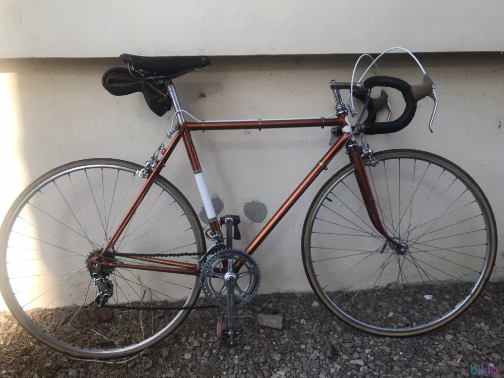 Cel mai bun preț Cursiera vintage Reynolds 531
