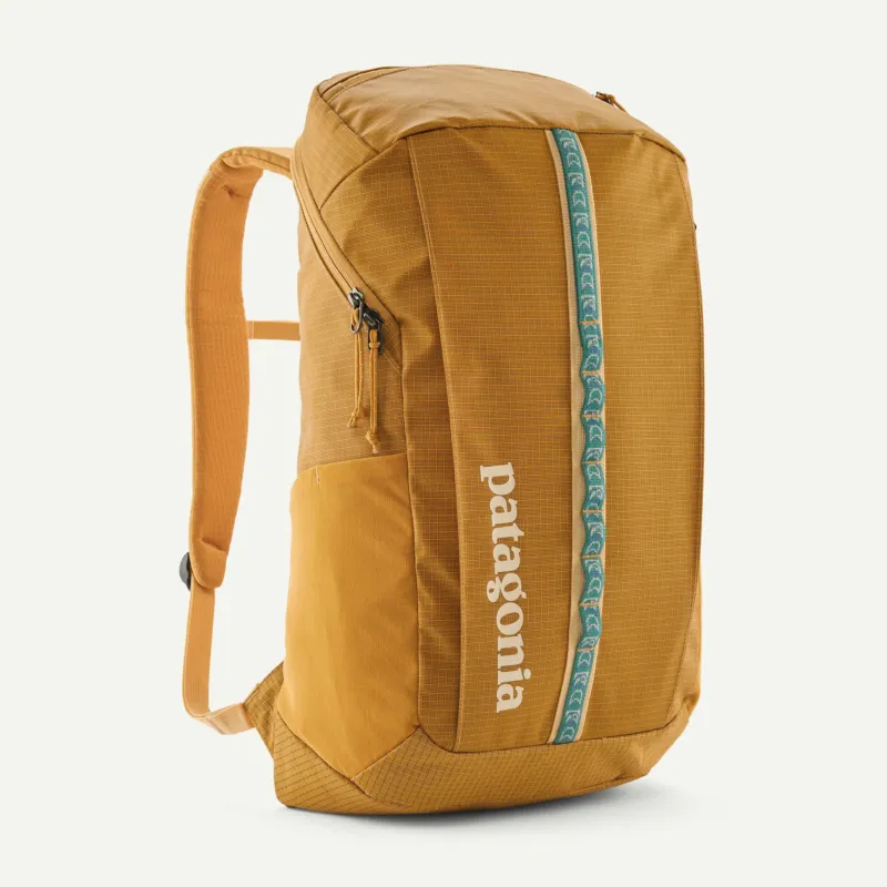 Noutate Patagonia - rucsac - Black Hole 25 L - Maro